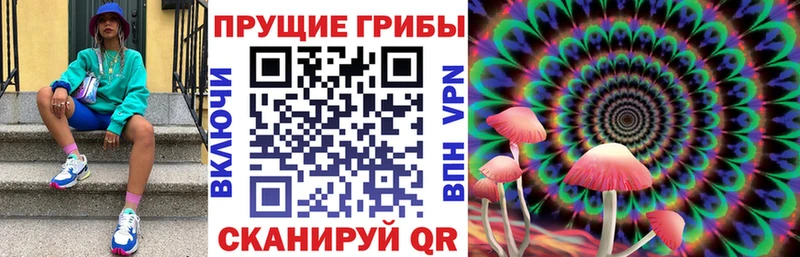 Купить  Афипский  Галлюциногенные грибы прущие грибы 